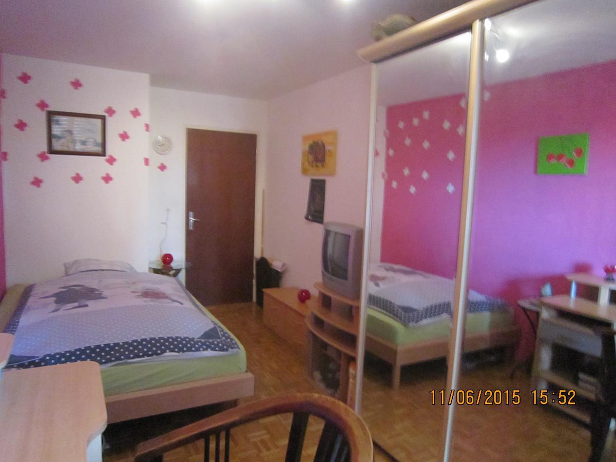 Schoenes Zimmer In Der City Bázel Kültér fotó